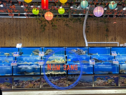 Thiết Kế Hồ Hải Sản Và Nhà Hàng Biển Đông