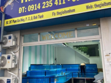 Mẫu thiết kế hồ hải sản nhà hàng đã thi công