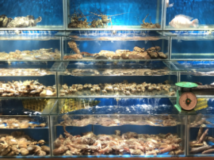 Công trình hồ hải sản , vựa hải sản nhà hàng