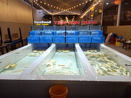 Thiết Kế Và Lắp đặt Hồ Hải Sản