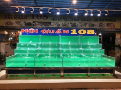 Thiết kế và thi công mẫu Hồ Hải Sản HỘI QUÁN 108