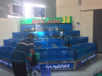 Thiết kế Hồ Hải Sản SEAFOOD BIỂN ĐÔNG 36
