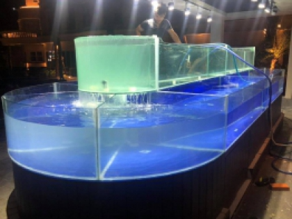 Thiết kế Hồ Hải Sản HỒ KÍNH CONG THIẾT KẾ THEO HÌNH VIÊN THUỐC