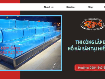 DỊCH VỤ THI CÔNG LẮP ĐẶT HỒ HẢI SẢN CHUYÊN NGHIỆP MIỀN NAM 