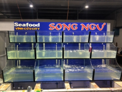 Thiết kế Hồ Hải Sản HẢI SẢN SONG NGƯ