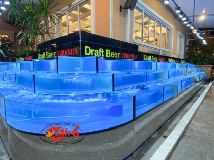 Lắp đặt hồ hải sản Draft Beer - Phú Quốc