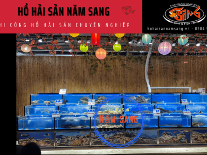 Hồ Hải Sản Năm Sang - Đơn vị thi công hồ hải sản chuyên nghiệp hàng đầu miền Nam