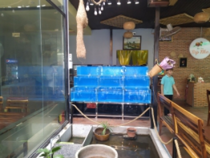 THI CÔNG HỒ KÍNH HỒ CHỨA HẢI SẢN TẠI LONG THÀNH 1