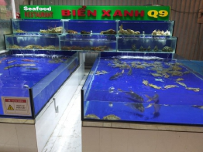 Thiết kế Hồ Hải Sản HỆ THỐNG BIỂN XANH - QUẬN 9