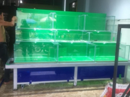 Thiết kế Hồ Hải Sản VỰA HẢI SẢI - HOÀNG QUÂN