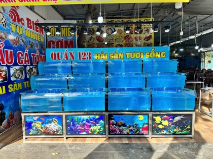 Thi công hồ hải sản quán 123 Vũng Tàu