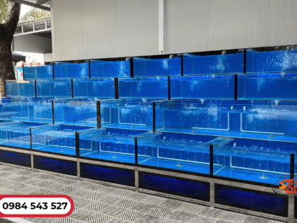 Thợ thi công hồ hải sản kính chuyên nghiệp - Năm Sang