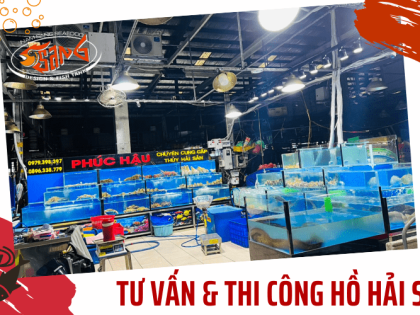 TƯ VẤN VÀ THI CÔNG TRỌN GÓI HỒ HẢI SẢN