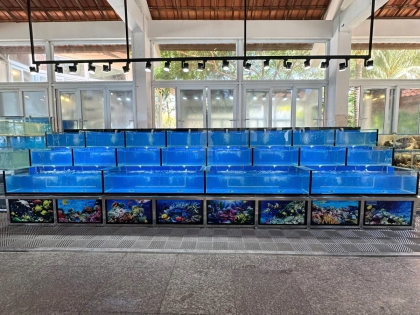 Nhà hàng Hải Âu Restaurant Hòn Cò: Nâng Tầm Trải Nghiệm Với Công Trình Hồ Hải Sản Mới