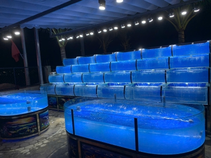 Thi Công Hồ Hải Sản Quán Hương Phát