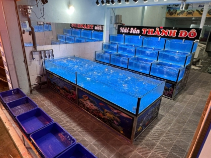 THI CÔNG HỒ HẢI SẢN CHO VỰA | THÀNH ĐÔ BÌNH DƯƠNG