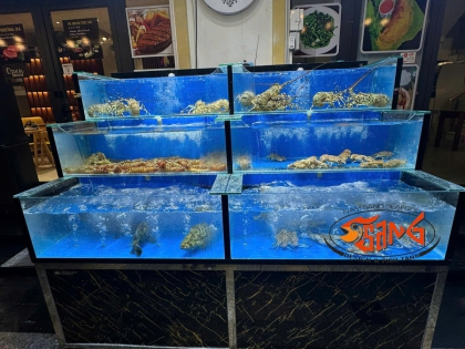 Thi Công Hồ Hải Sản Tại | Grand World Phú Quốc