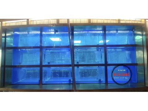 HỒ HẢI SẢN 107