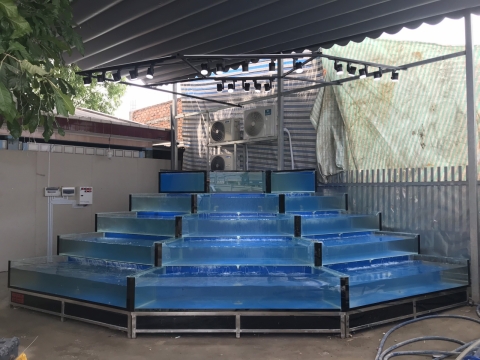 HỒ HẢI SẢN 115