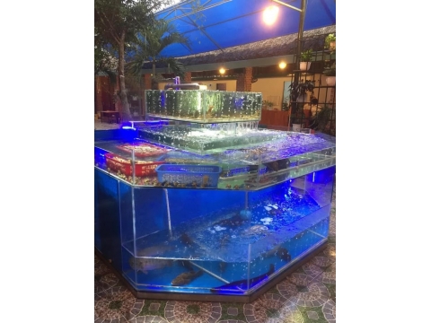 HỒ HẢI SẢN 57N